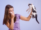  ¿Cómo tratar las alergias a las mascotas?